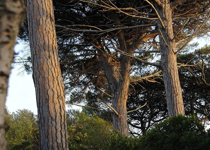 Touring Club Italiano - 3*